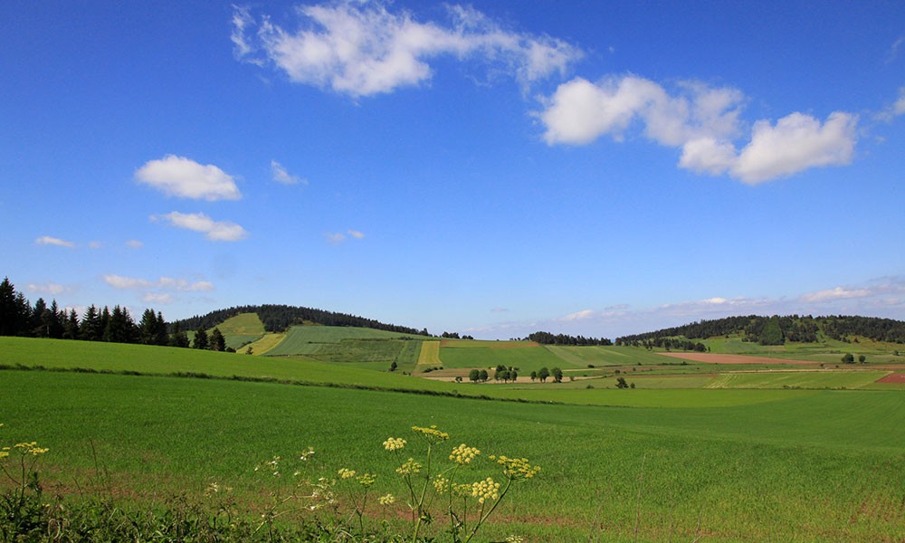 le-plateau-du-Deves